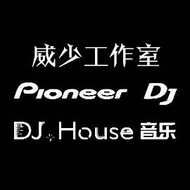 DJ.House（私货U盘）
